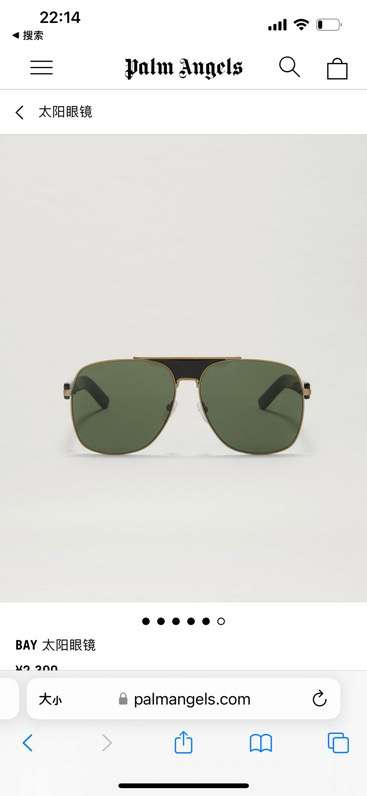 Picture of Palm Angels Sunglasses _SKUfw50675495fw